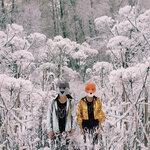 Слушать альбом - животные синт-стинкты (2019)