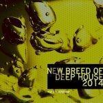 Слушать альбом - New Breed of Deep House Vol. 3 (2014)