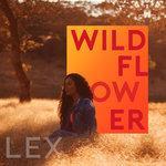 Wildflower (2017)