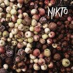 Слушать альбом - Nikto (2019)