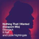 Nothing That I Wanted (2017)
