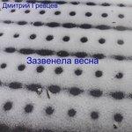 Слушать альбом - Зазвенела весна (2018)