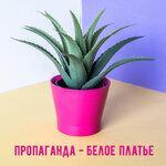 Слушать альбом - Белое платье (2019)