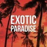 Слушать альбом - Exotic Paradise – Summer Music for Relaxation, Beach Chill, Calm Vibrations, Relaxing Chillout Moments, Chill Out 2019, Ibiza 2019