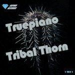 Слушать альбом - Tribal Thorn (2019)
