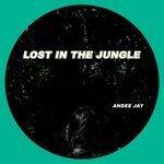 Слушать альбом - Lost in the Jungle (2018)