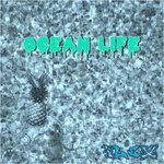 Ocean Life (2019)