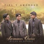 Слушать альбом - Fiel y Amoroso (2018)