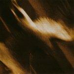 Слушать альбом - Ashes Against The Grain (2006)