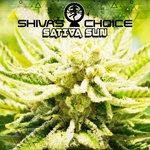 Слушать альбом - Sativa Sun (2018)