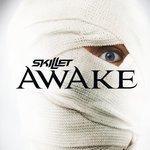 Слушать альбом - Awake (2009)