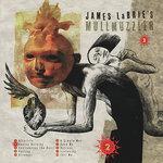 Слушать альбом - James LaBrie's Mullmuzzler 2 (2001)