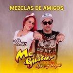 Слушать альбом - Mezclas de Amigos (2017)