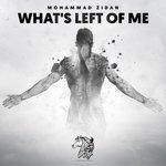 Слушать альбом - What's Left of Me (2017)