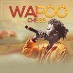 Слушать альбом - Wafoo (2017)