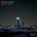 Persistence (2017)