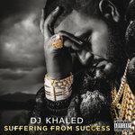 Слушать альбом - Suffering From Success (2013)