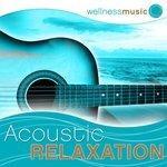 Слушать альбом - Wellness Music: Acoustic Relaxation (2011)