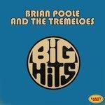Слушать альбом - Brian Poole & The Tremeloes: Big Hits (2014)