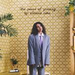Слушать альбом - The Pains Of Growing (2018)