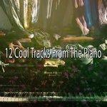 Слушать альбом - 12 Cool Tracks From The Piano (2017)