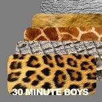Слушать альбом - 30 Minute Boys (2017)