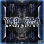 Space Monkey (2017)