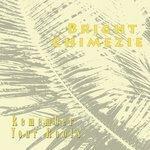 Слушать альбом - Remember Your Roots (2017)