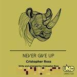 Слушать альбом - Never Give Up (2018)
