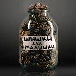 Слушать альбом - Шишки для малышки (2018)