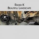Слушать альбом - Beautiful Landscape (2017)