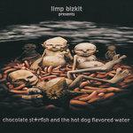 Слушать альбом - Chocolate Starfish And The Hot Dog Flavored Water (2000)
