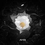 Слушать альбом - AVĪCI (2017)