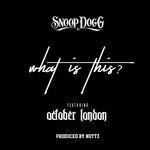 Слушать альбом - What Is This? (2017)