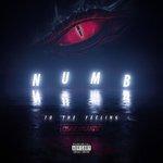 Слушать альбом - Numb to the Feeling (2018)