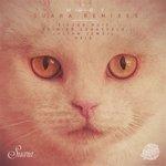 Слушать альбом - Suara Remixes (2017)