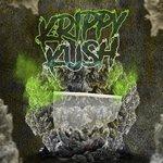 Слушать альбом - Krippy Kush (2017)
