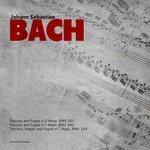 Слушать альбом - Johann Sebastian Bach: Toccata and Fugue Selection (2014)