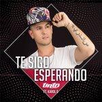 Слушать альбом - Te Sigo Esperando (2018)