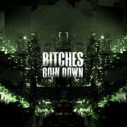 Слушать альбом - Bitches Goin Down