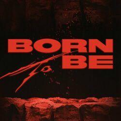 Слушать альбом - BORN TO BE