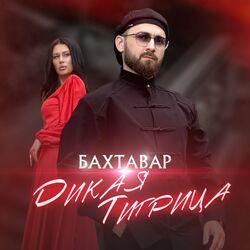 Слушать альбом - Дикая тигрица