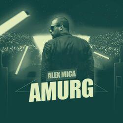 Слушать альбом - Amurg