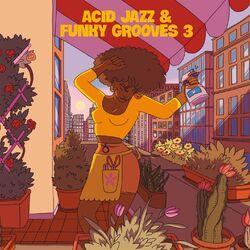 Слушать альбом - Acid Jazz & Funky Grooves 3