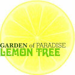 Слушать альбом - Lemon Tree