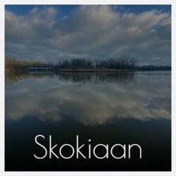 Skokiaan
