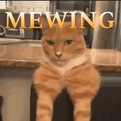 Слушать альбом - Mewing