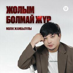 Слушать альбом - Жолым болмай жүр