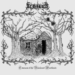Слушать альбом - Covenant of the Blackened Woodlands