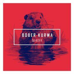 Слушать альбом - Bober Kurwa